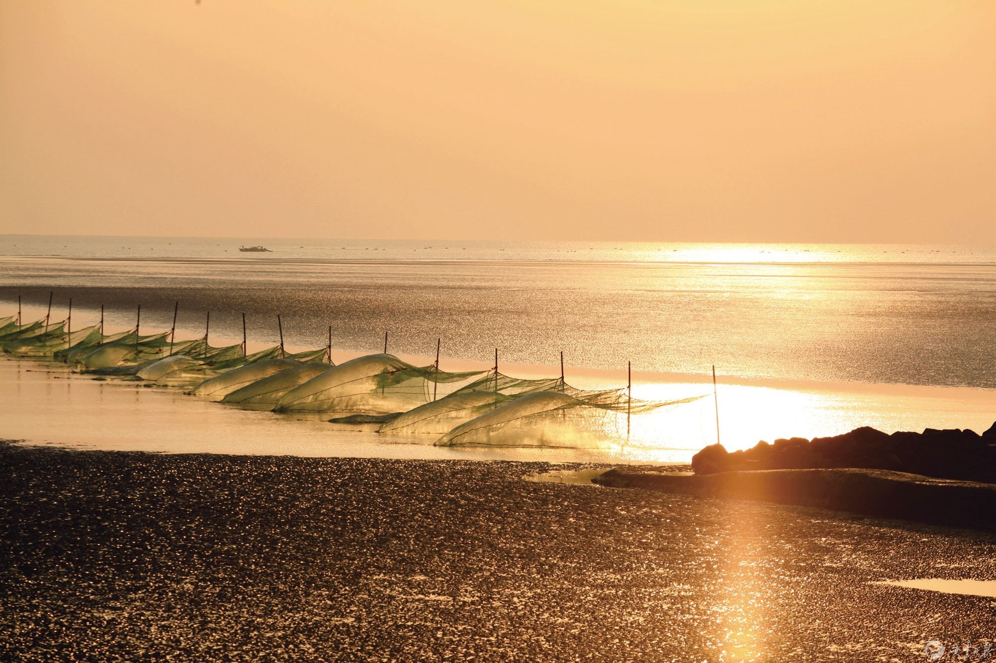 大丰日报数字报