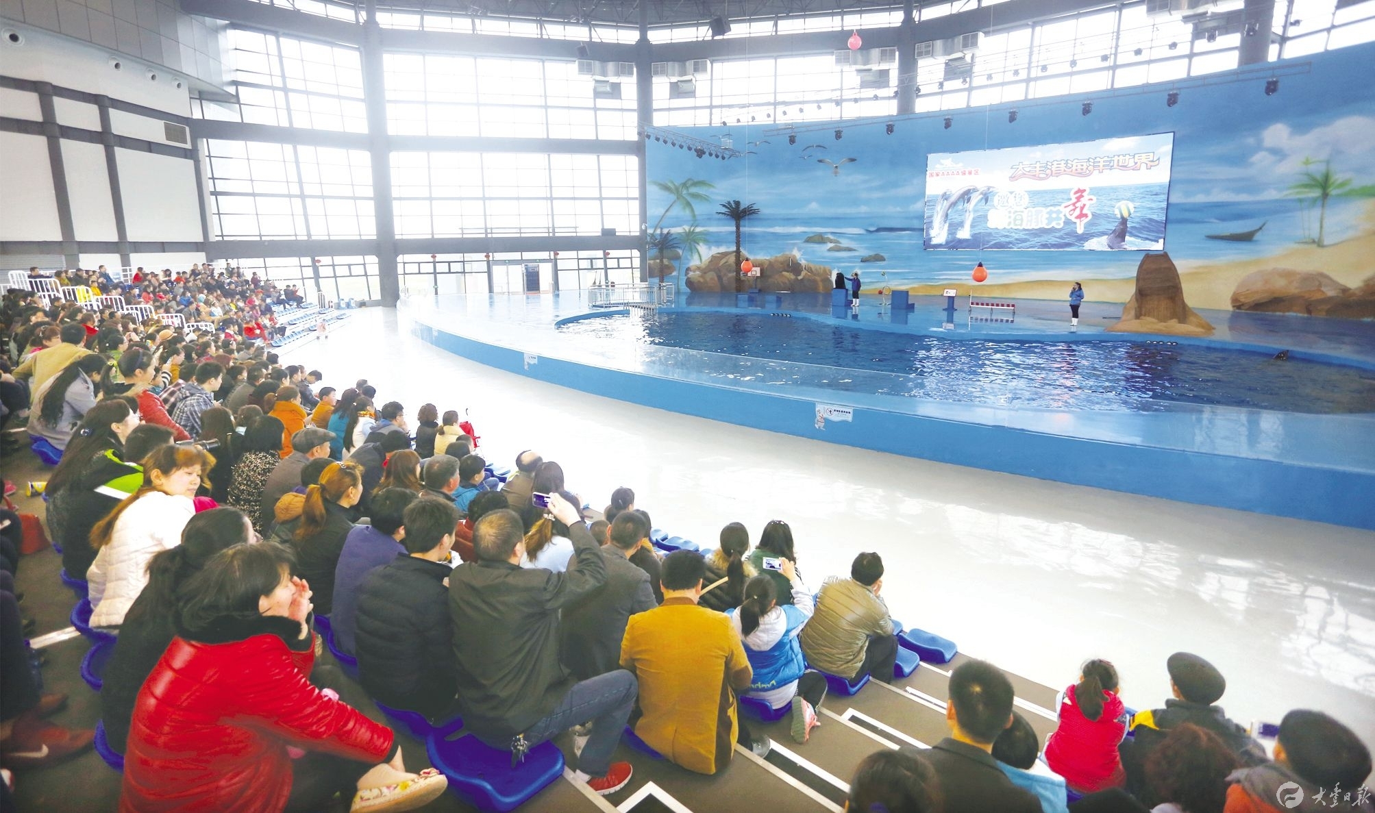 大豐港海洋世界,海獅,海豹的表演吸引了大量遊客領略海洋的神奇.