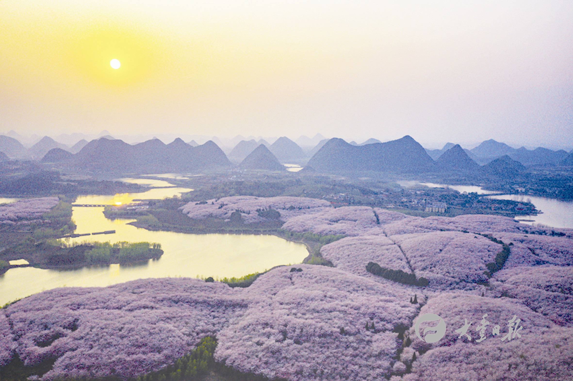 近日,贵州省贵安新区红枫湖畔的樱花观光园内万亩樱花竞相盛开,吸引不