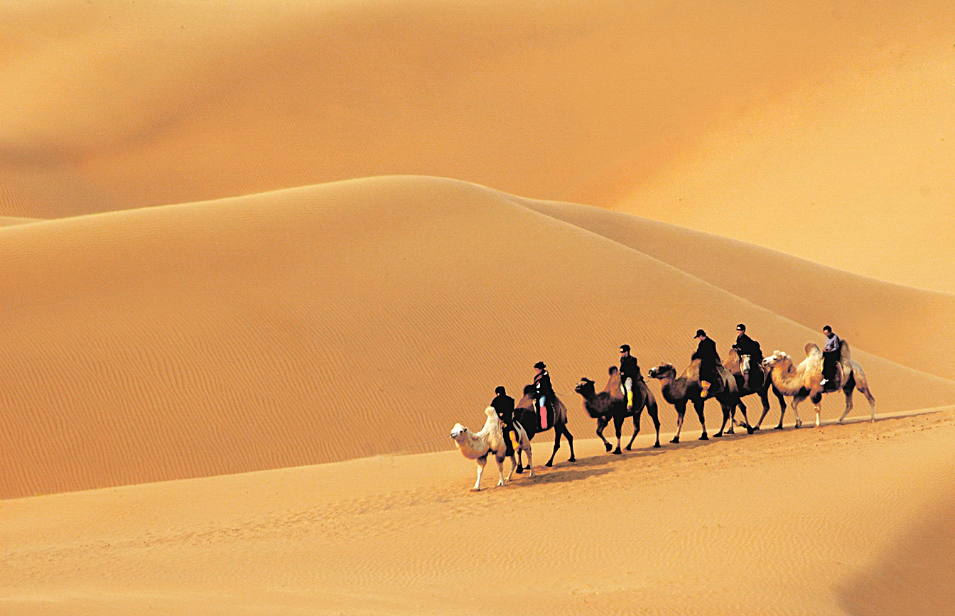 沙漠驼队高清壁纸图片