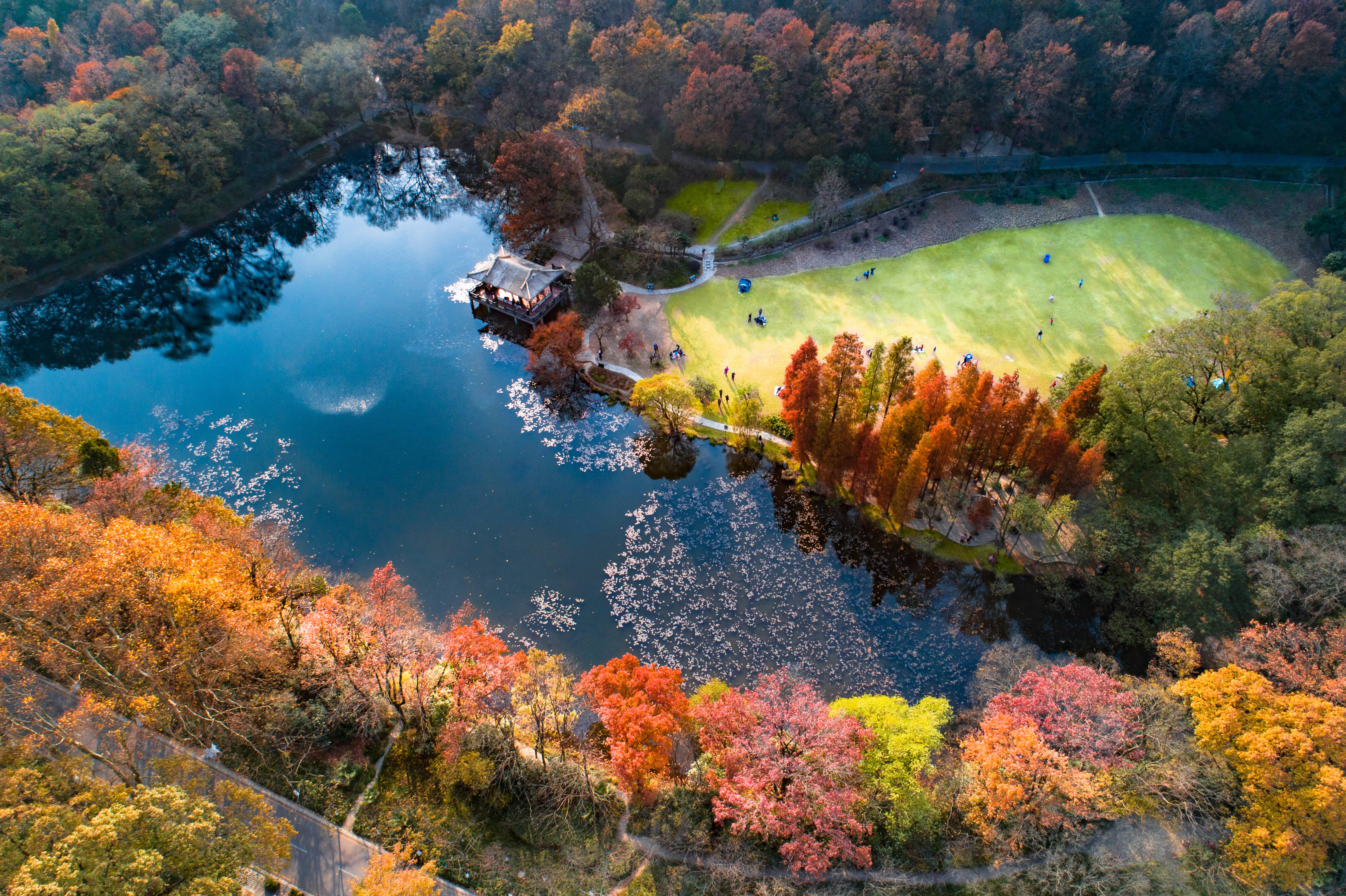 南京钟山宾馆附近景点图片