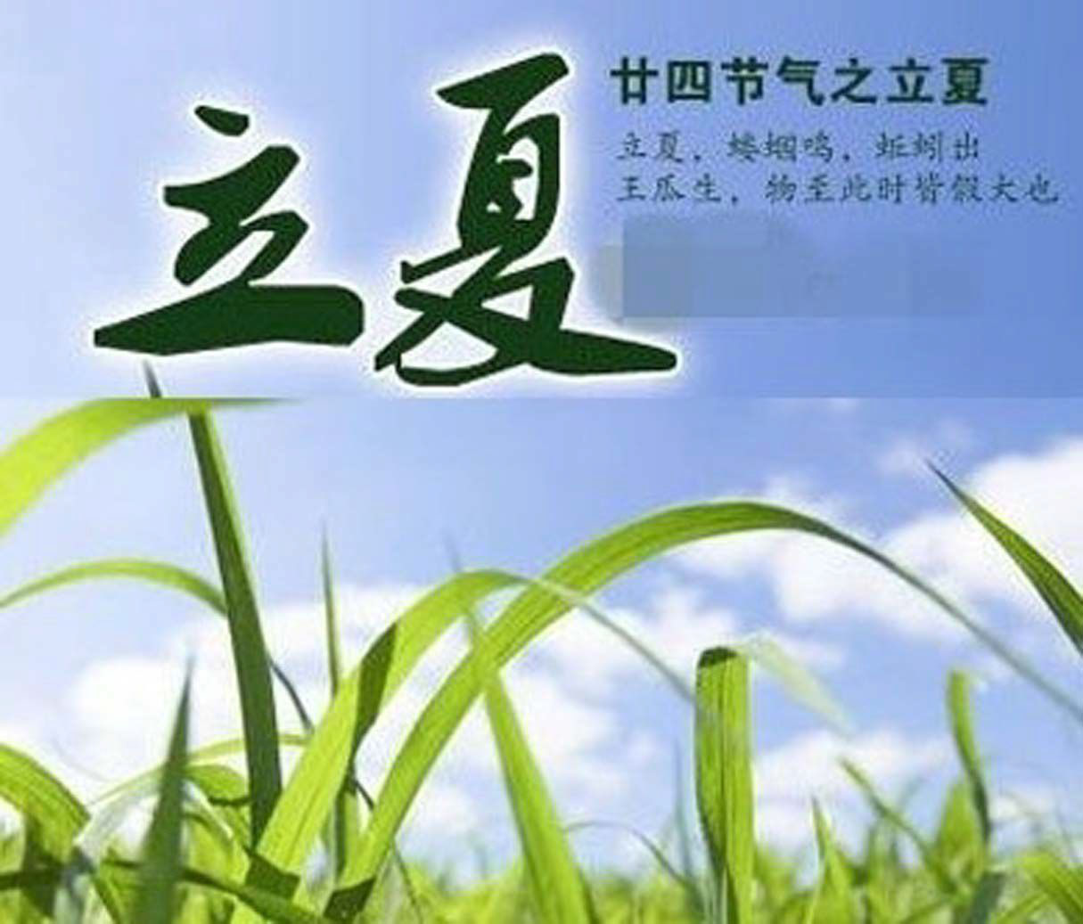 立夏后养生小知识的简单介绍-第2张图片-鲸幼网