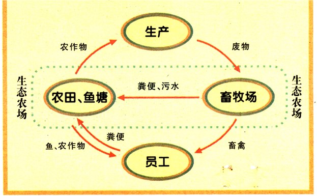 上海太太乐调味食品有限公司循环经济示意图