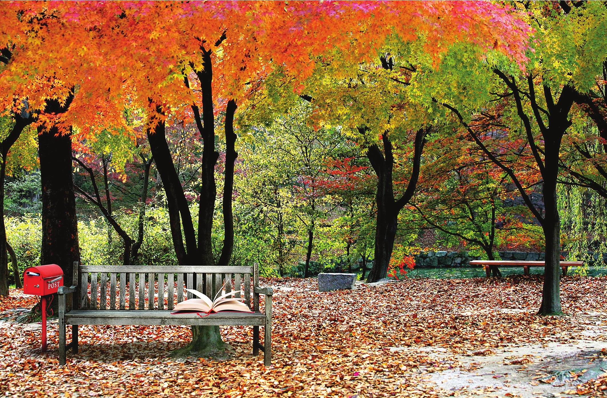 早秋新鲜事速递