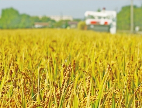 土肥水美江海馈赠五谷丰盈物产丰饶