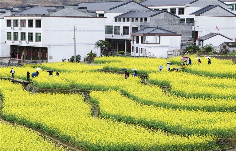 美丽岱岭富源畲族村(刘成株/摄)