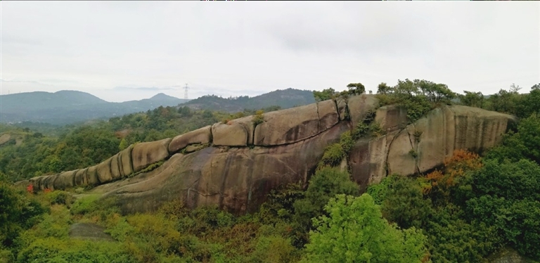 大羅山登山健身步道是溫州市首條國家級登山健身步道,是大家喜歡的