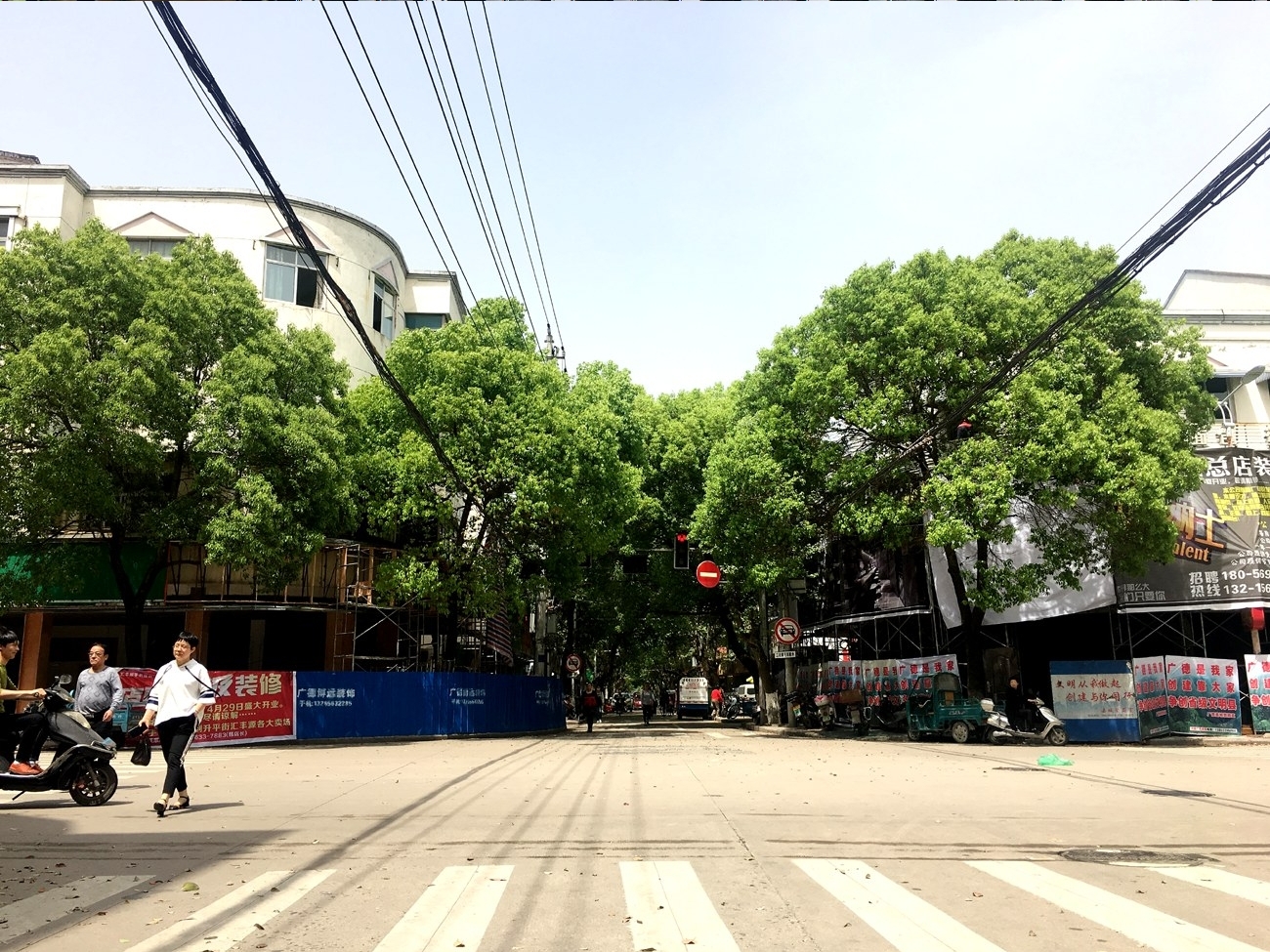 近日,记者走访时发现,升平街与团结中路交叉口的红绿灯已被树叶遮挡