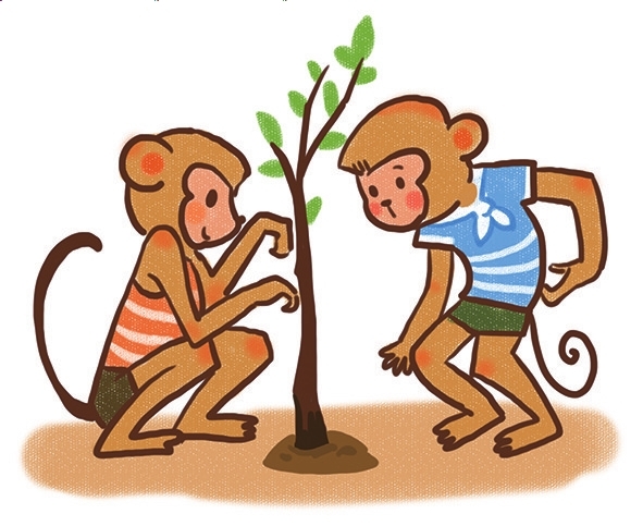 小猴种果树绘本图片