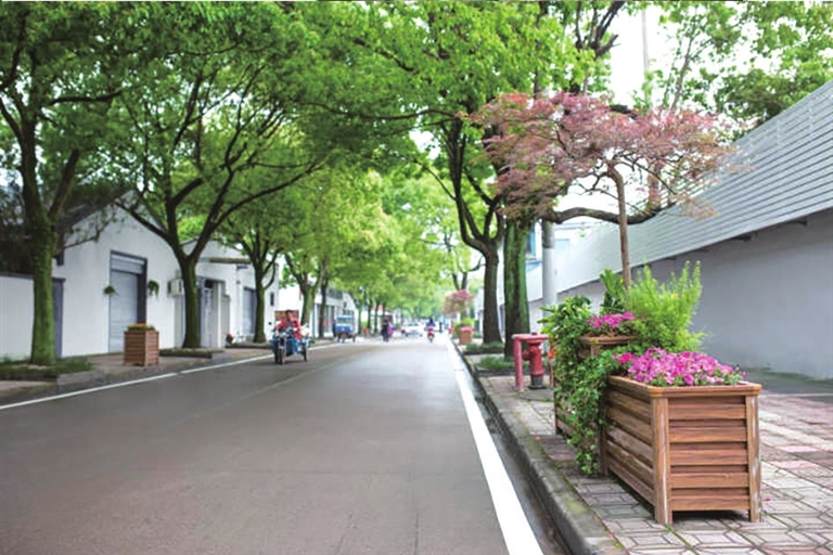 巧匠造美景街巷新意浓