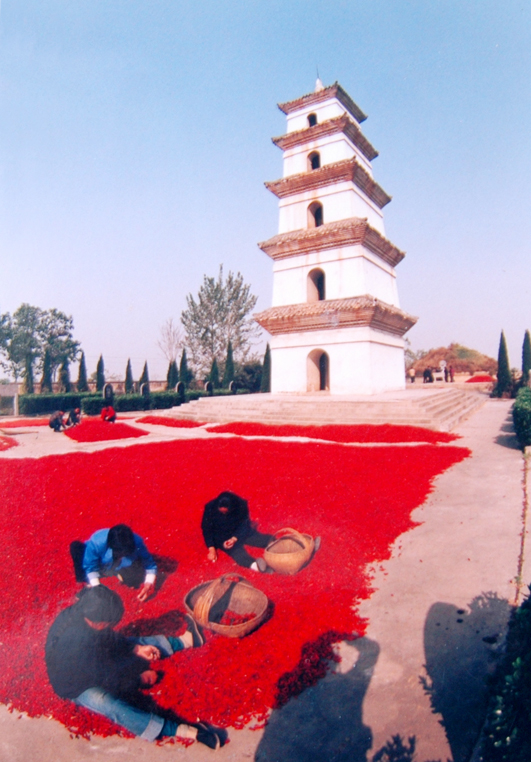 唐僧故里缑氏镇(鲁豫鄂行之四)