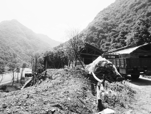 210省道乾潭镇梓洲村段有一处4000平米鸡棚