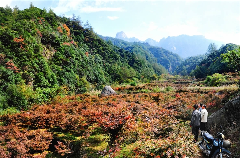 清凉峰镇顺溪村:生态让村民腰包更鼓