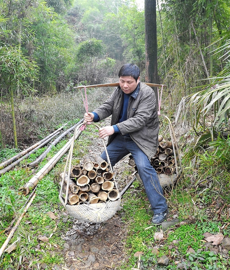 好心村民寒冬送柴火温暖老人心