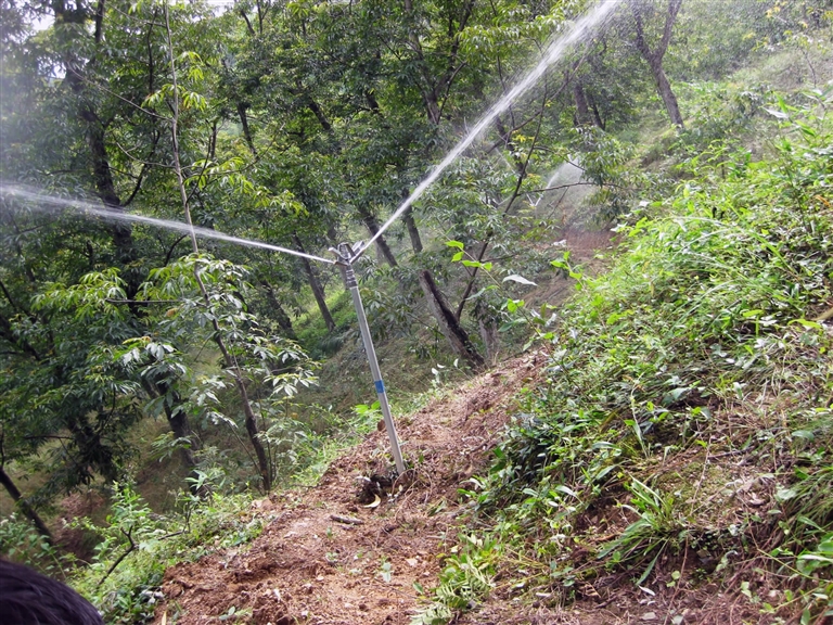 龙岗镇林坑村山核桃节水灌溉项目