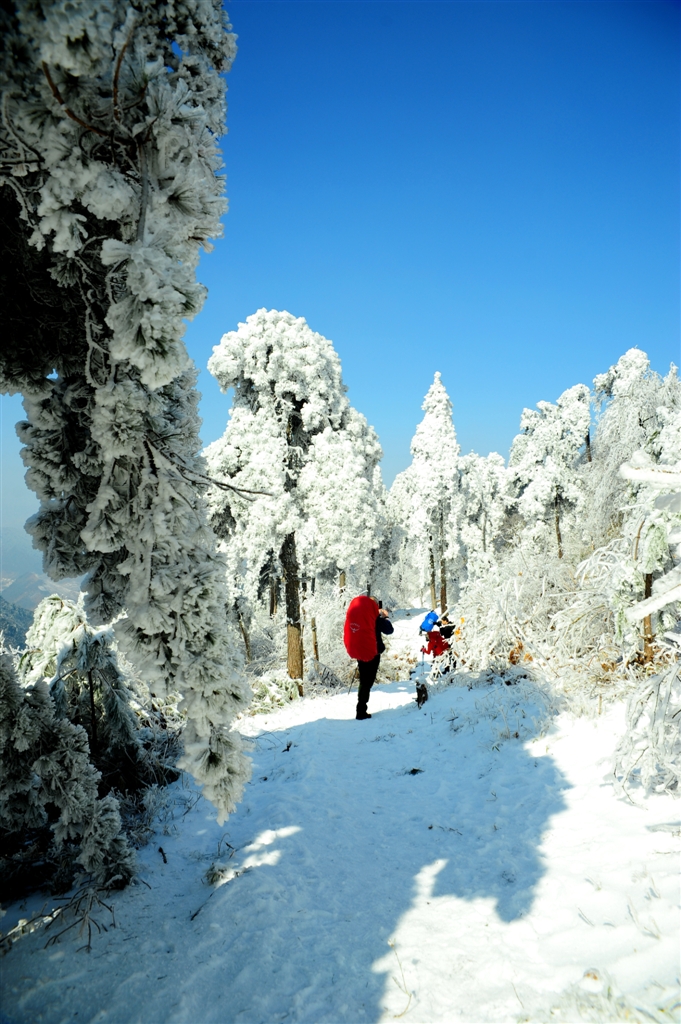 追寻临安最美雪景探访百丈岭冰雪殿堂