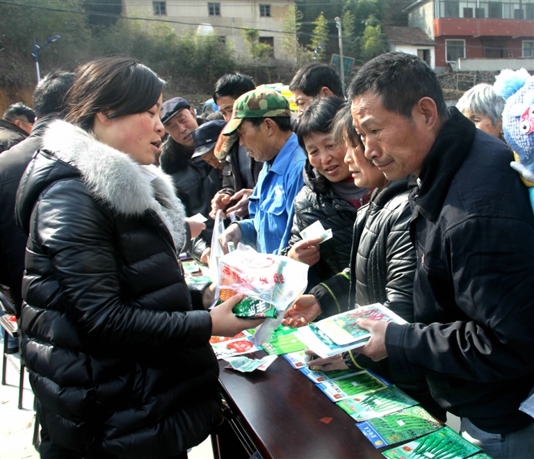 见习记者 俞丽云 通讯员 沈泓华