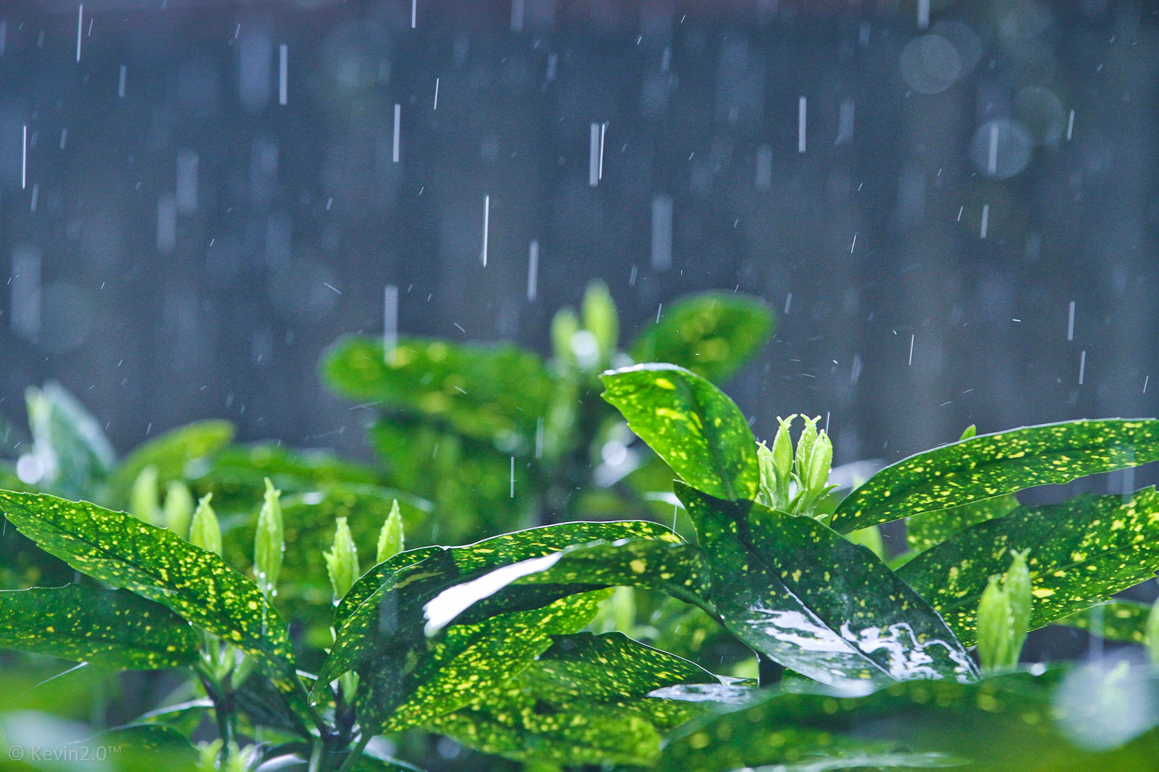 下雨