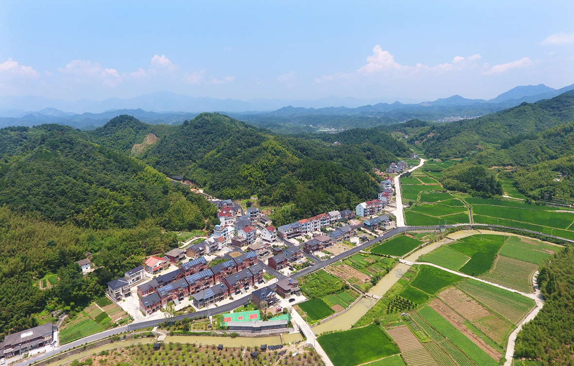 天目山镇周云村全景