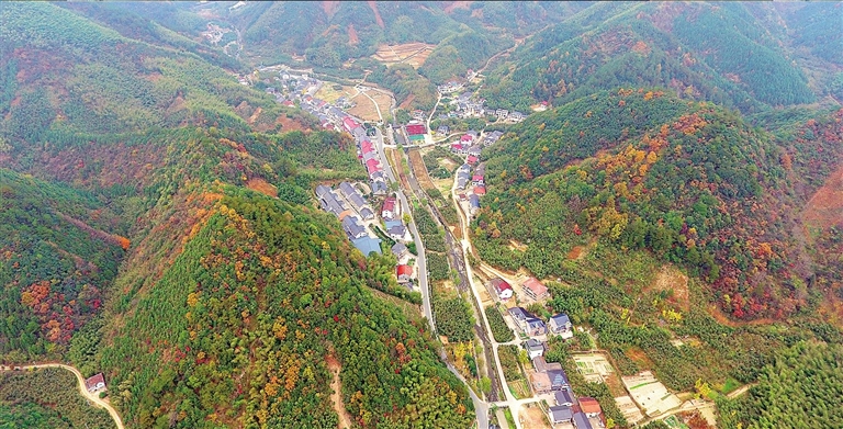 美丽村落之太阳镇太源村--今日临安