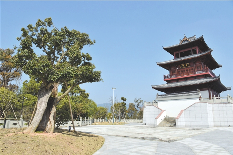 黄坛镇建设民生公园为群众幸福加码--今日宁海