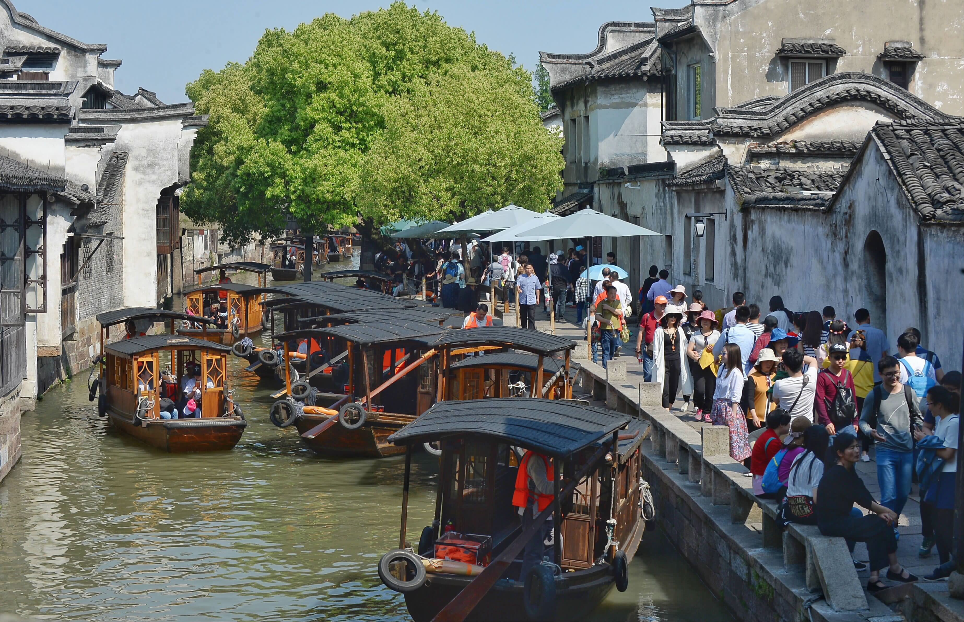 图为游人如织的乌镇东栅景区