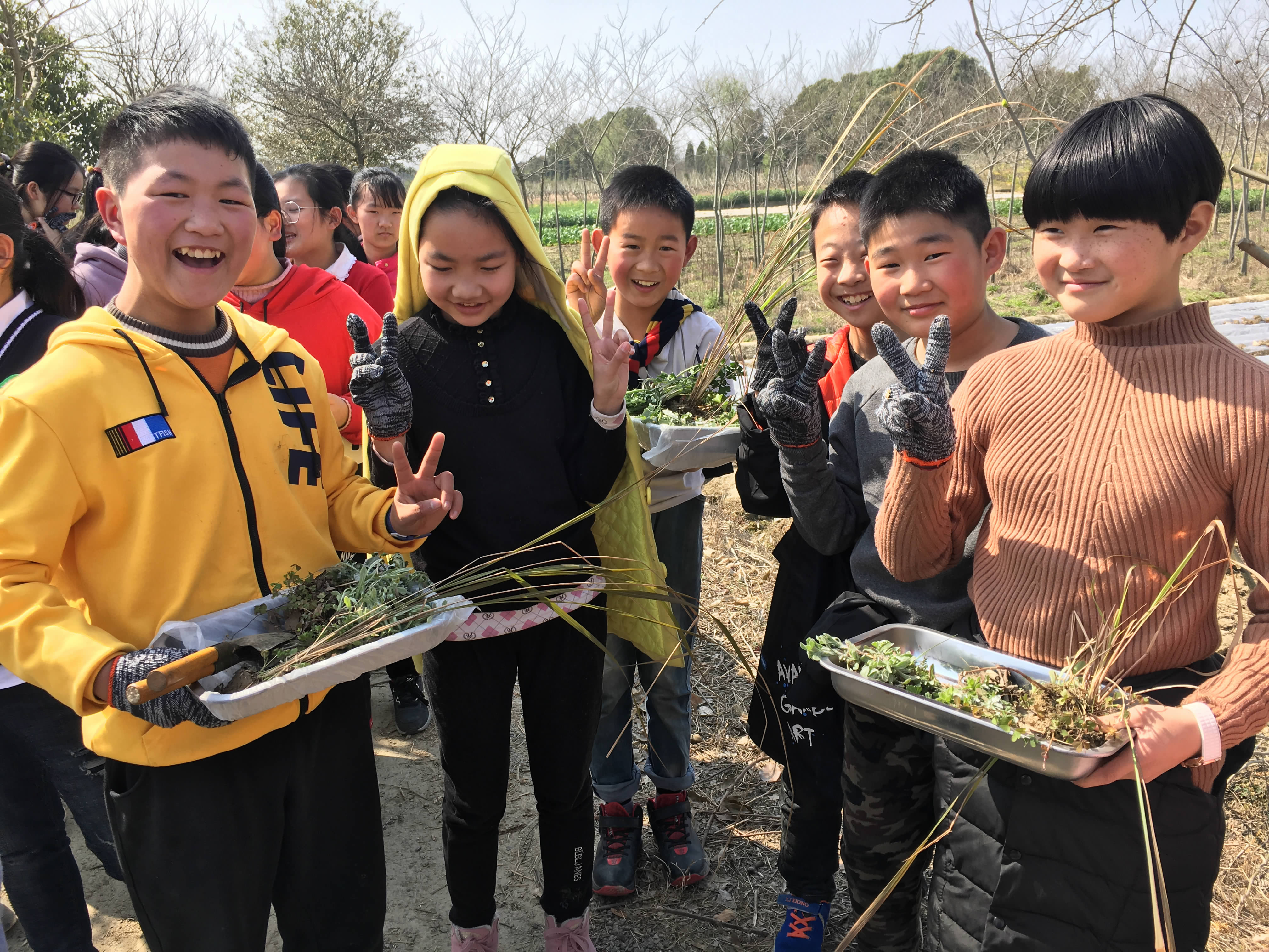 振兴西路小学图片