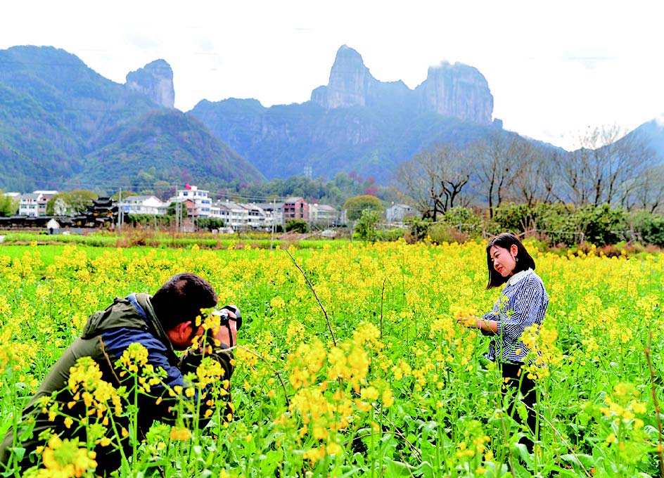 市民在岩头下园村油菜花田赏花拍照.