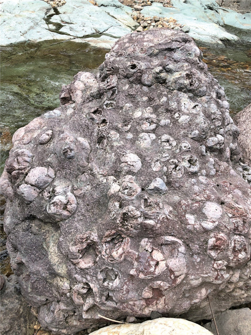 流纹岩原石图片
