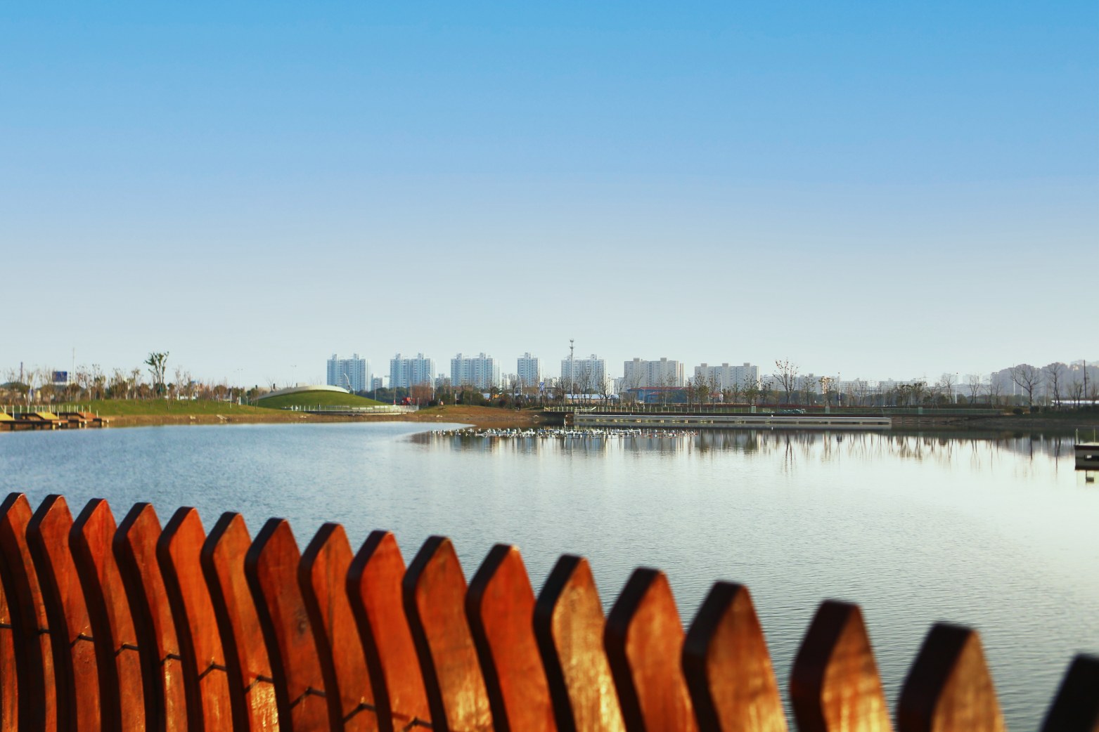 上海金山汇龙湖公园图片