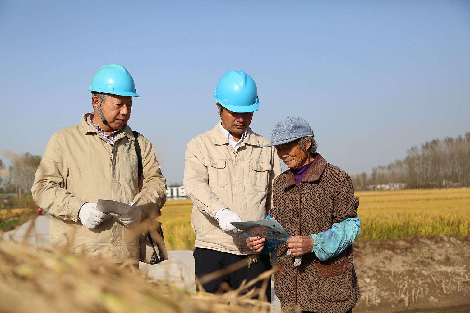 10月22日,县供电公司南集供电所员工来到南集镇省级农业示范园水稻新