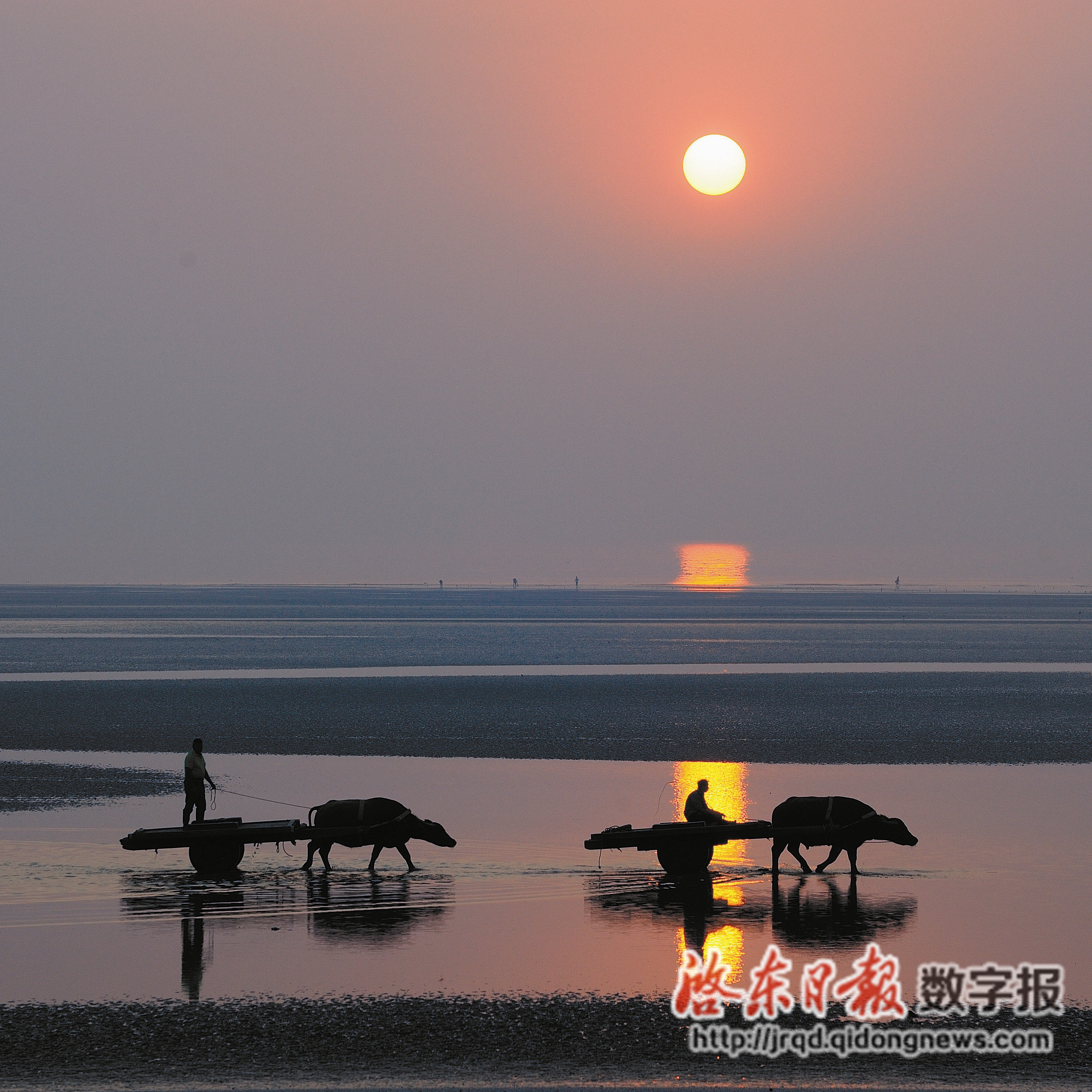 圆陀角日出最佳地点图片