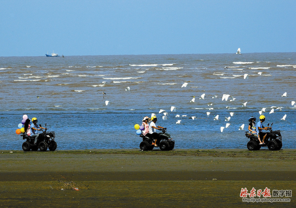 追江趕海之旅呂四漁港(趕海拾貝,海鮮排擋,漁家風情體驗)→鶴城餘韻