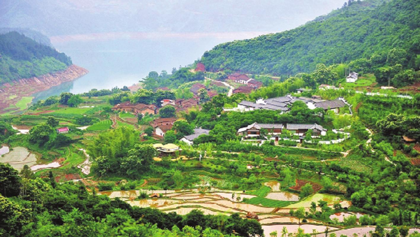 遂昌 ，风景这边独好--遂阅