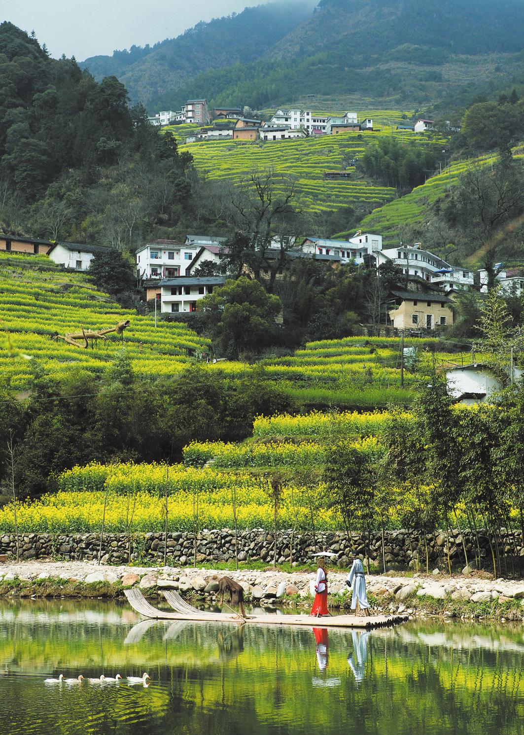 花开田园醉美乡村