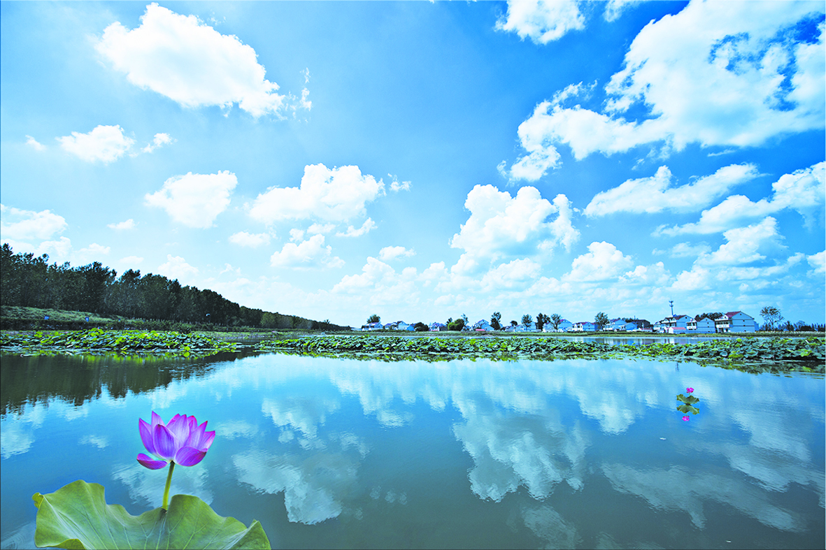 伊山伊水伊甸園真情真意真灌雲