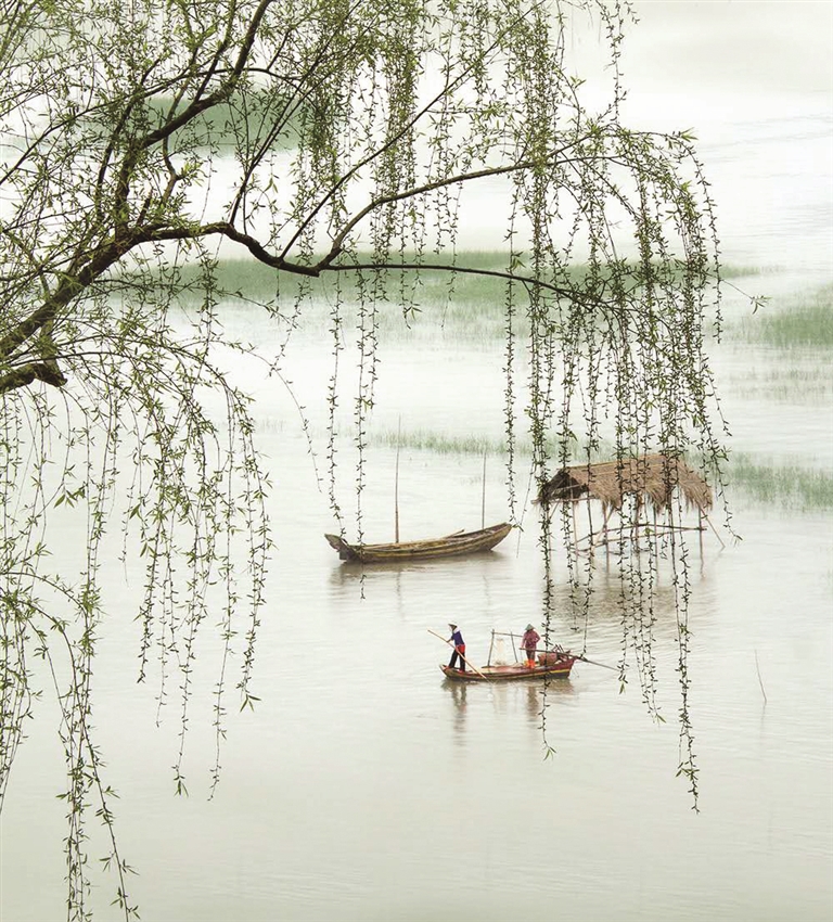 小舟撑出柳阴来