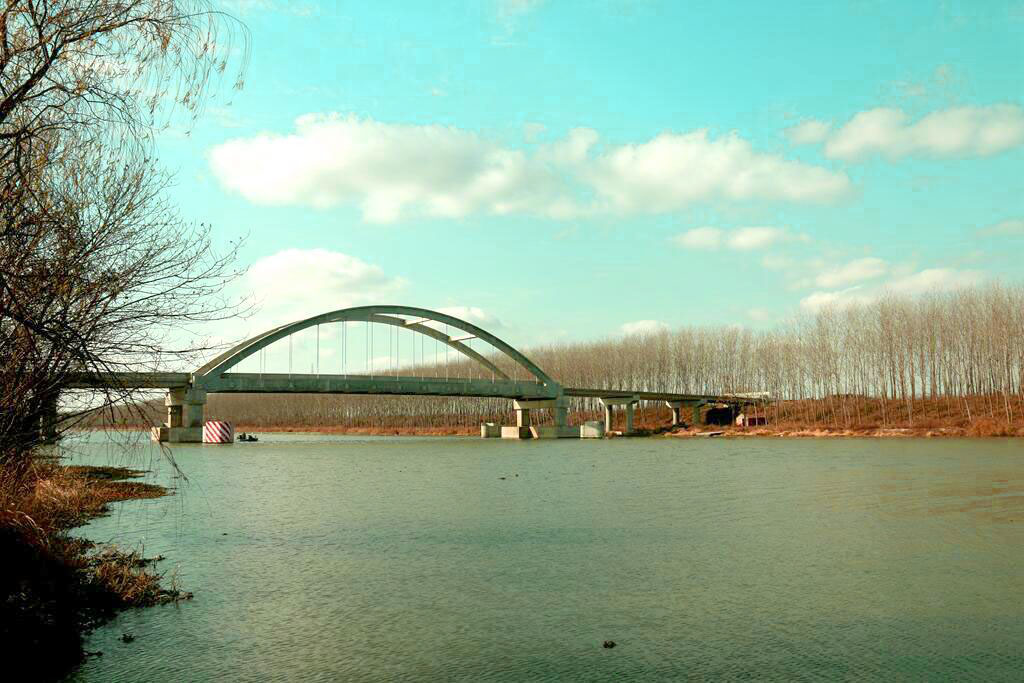 射阳东湖大桥图片图片