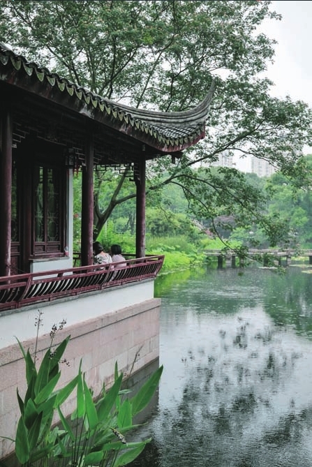 太仓南园太师府的隐秘花园