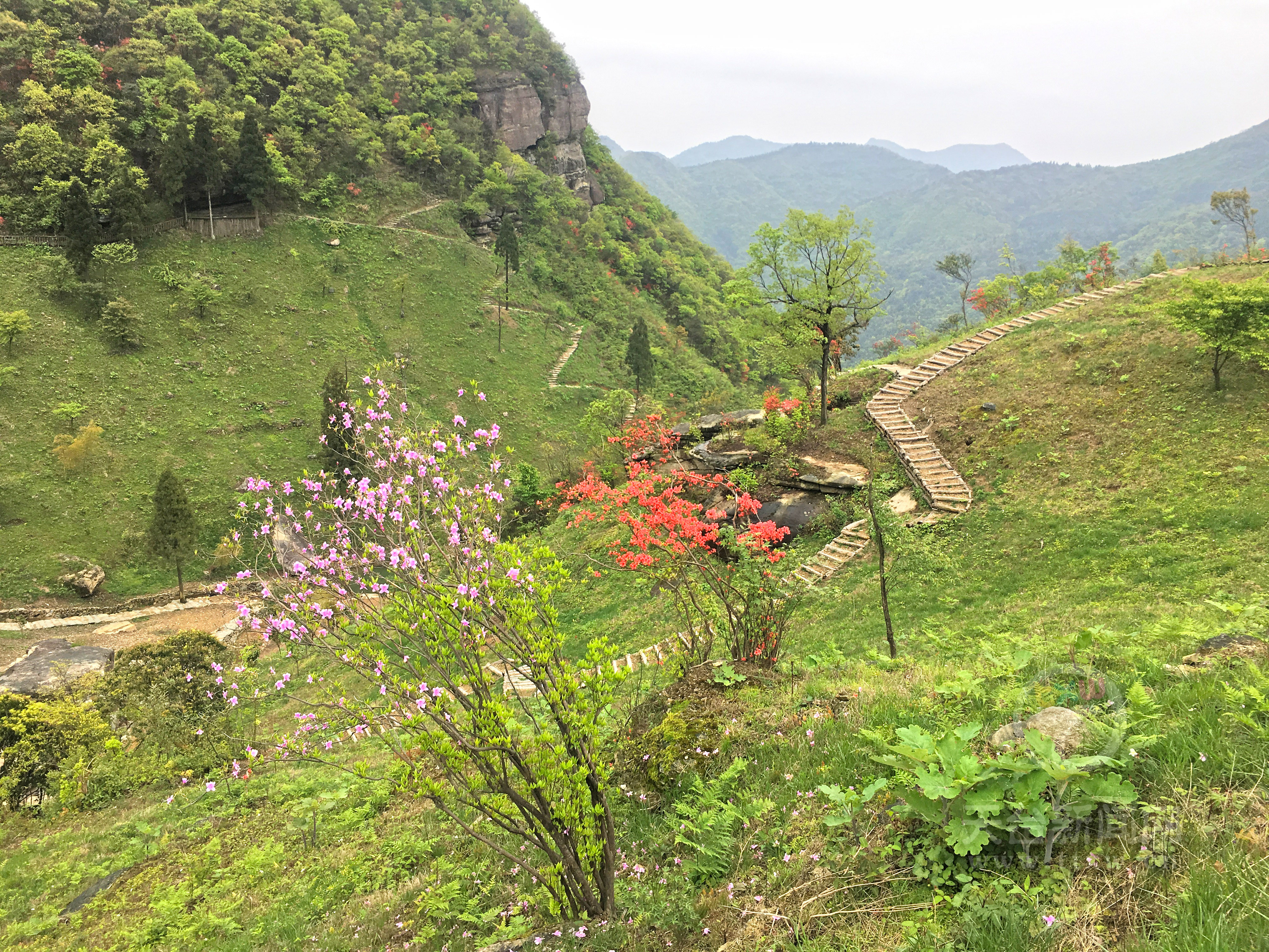 天台大雷山景区图片