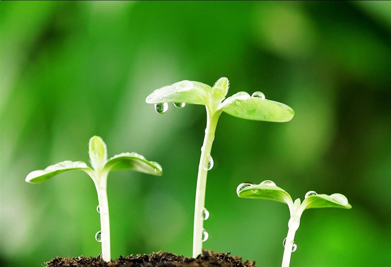 破土而出--通州日报