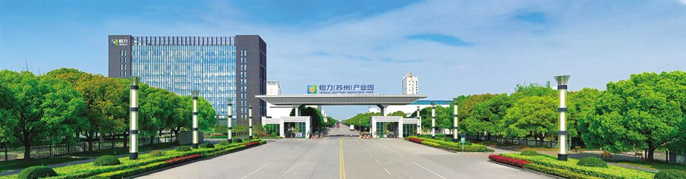 恒力:以"丝路先锋"汇聚产业报国"红色力量"