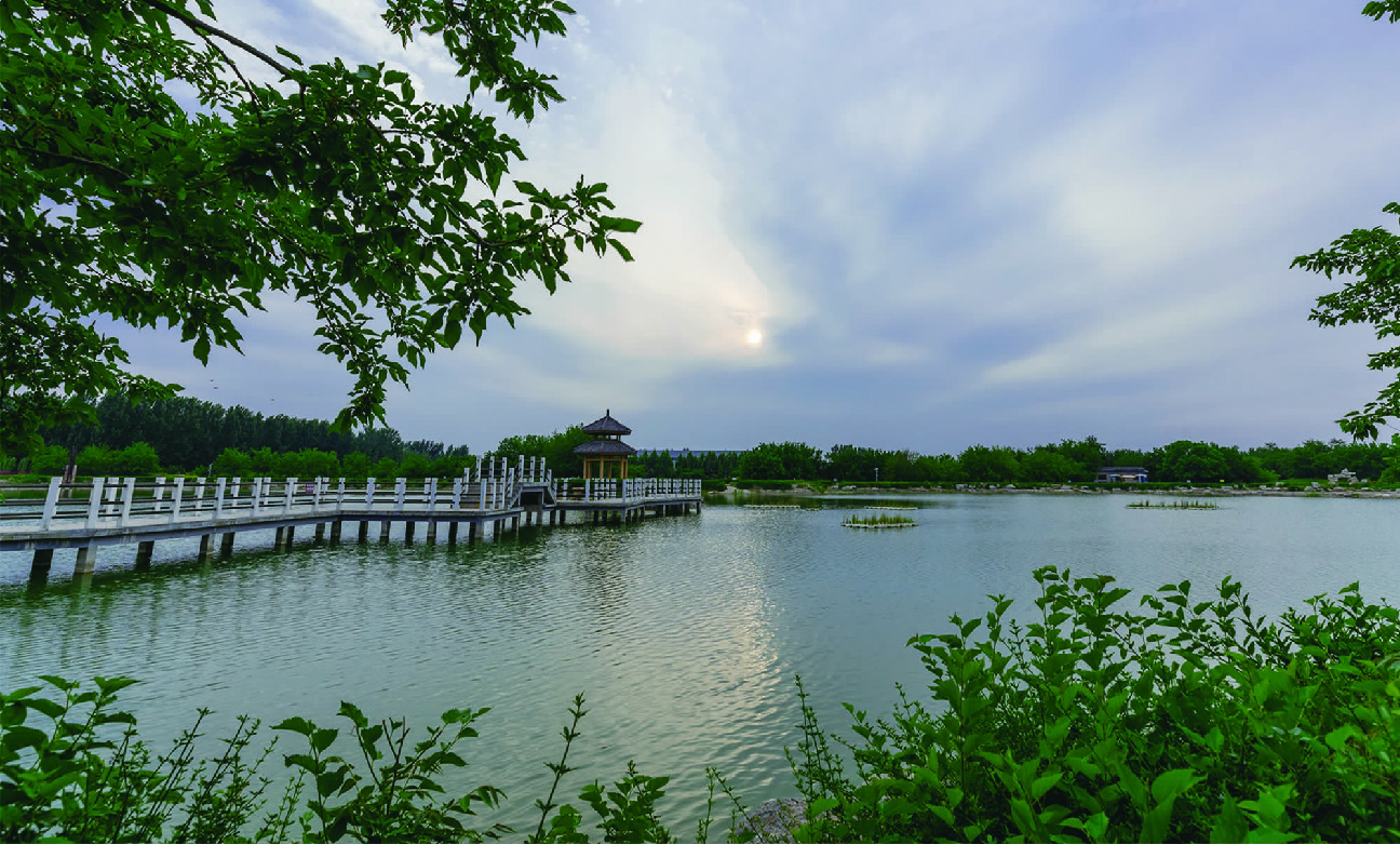 夏津美景图片