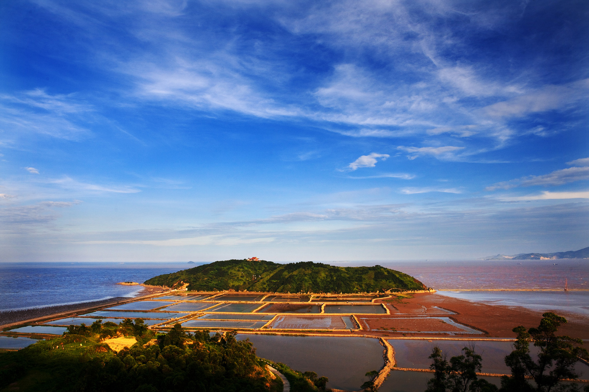 无题--新平阳报
