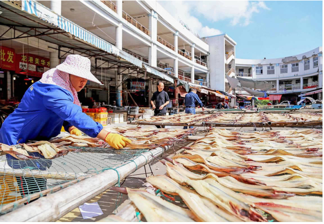 昨天,记者在鳌江水产码头看到,渔民们趁着晴好天气,晾晒海鳗,海虾