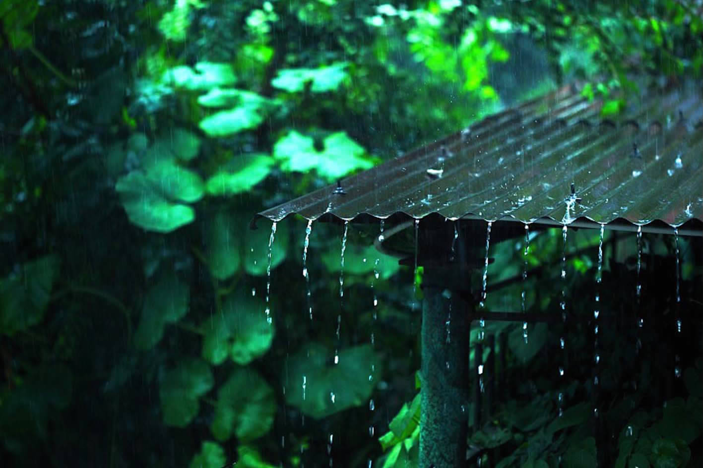 贵州梅雨图片