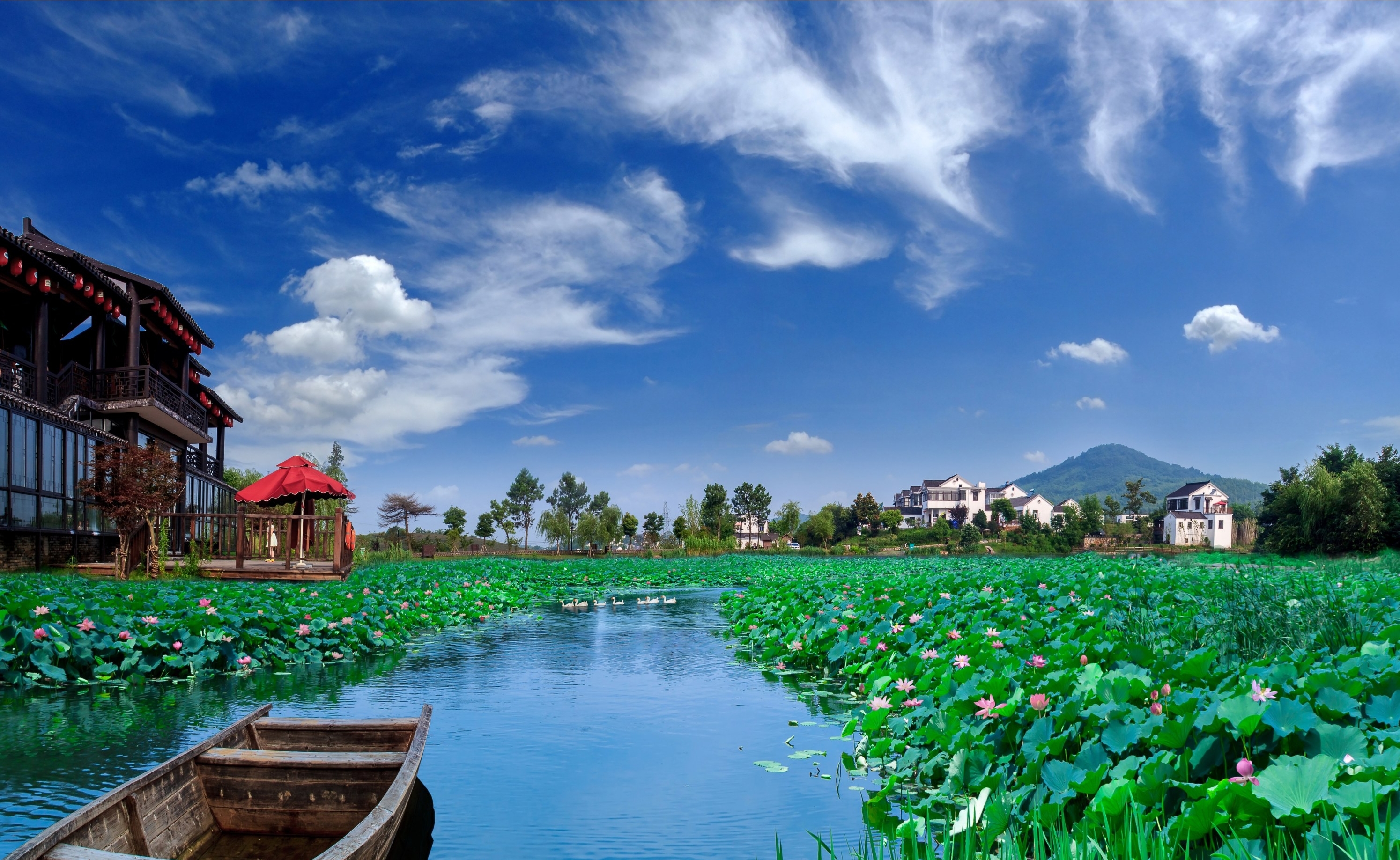 黄龙岘尽享茶乡慢生活