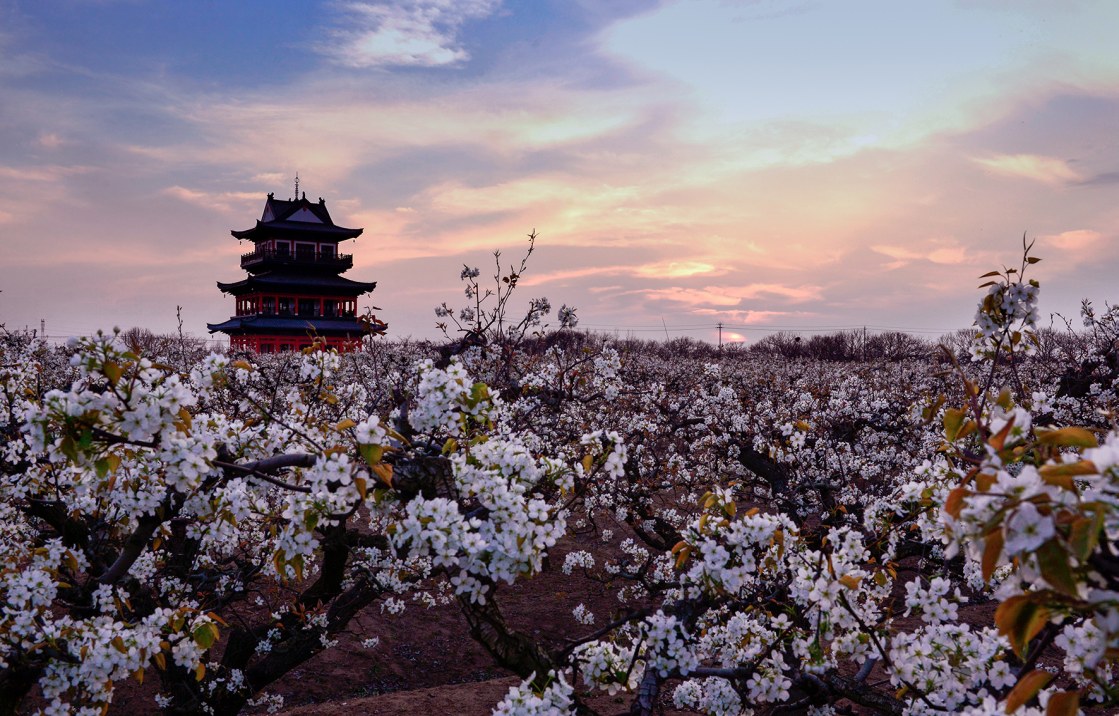 2018盐城龙冈第六届桃花文化旅游节"美在桃园"主题摄影大赛获奖名单